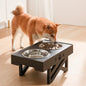 Adjustable Height Double-Bowl Pet Support Table