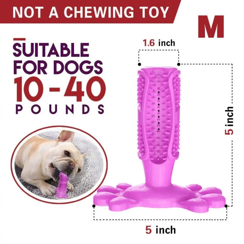 Rubber Dog Chew Toys