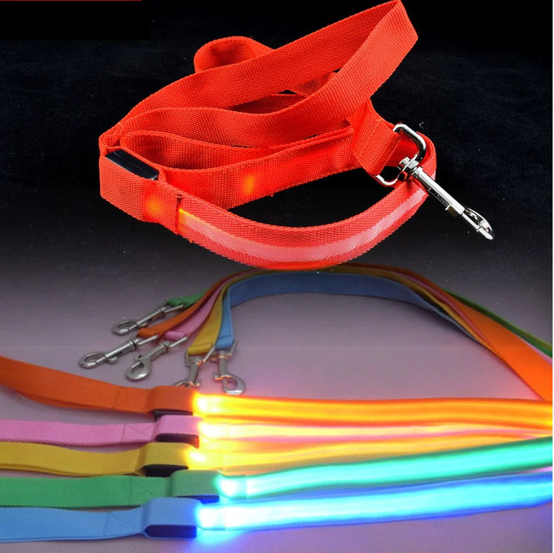 Reflective LED Dog Leash