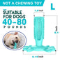 Rubber Dog Chew Toys