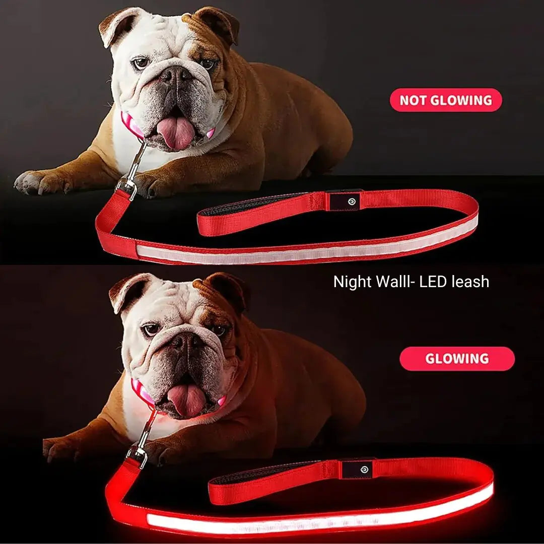 LED Flashing Waterproof Dog Leash