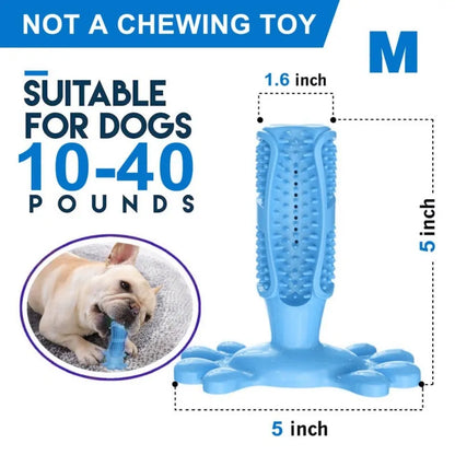 Toothbrush For Dog