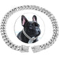 Cuban Chain Diamond Walking Metal Chain Collar with Design Secure Buckle Jewelry