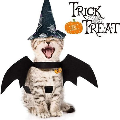 Halloween Cute Pet Clothes Black Bat