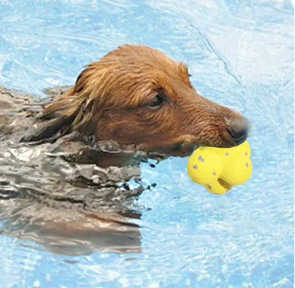 Durable Dog Tennis Balls for Aggressive Chewers - Bite-Resistant Teething Toys