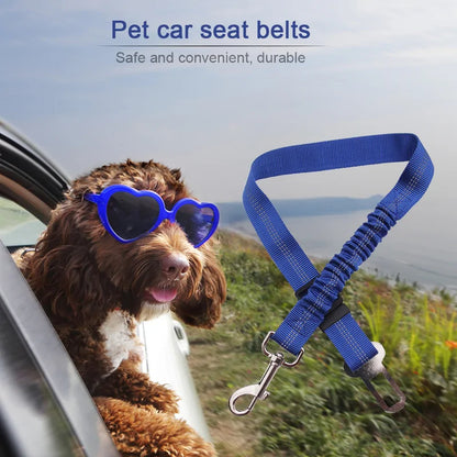 Dog Seat Belt