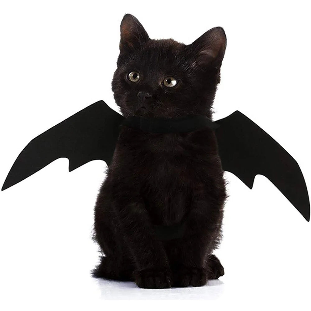 Halloween Cute Pet Clothes Black Bat