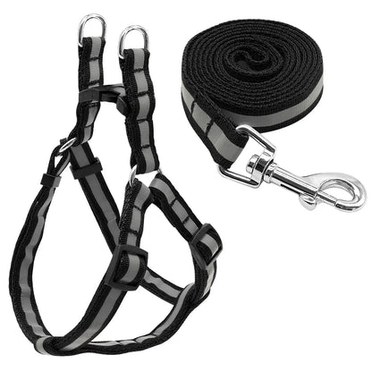 Dog Leash Set