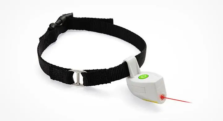 Laser Pointer Pet Pet Collar