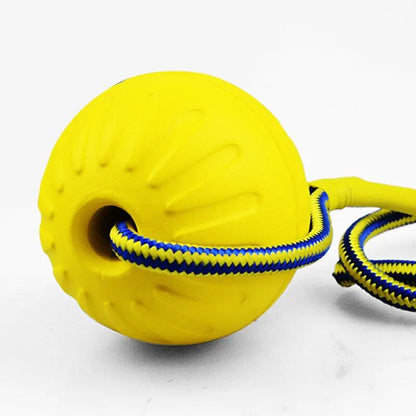 Dog Training Ball on Rope