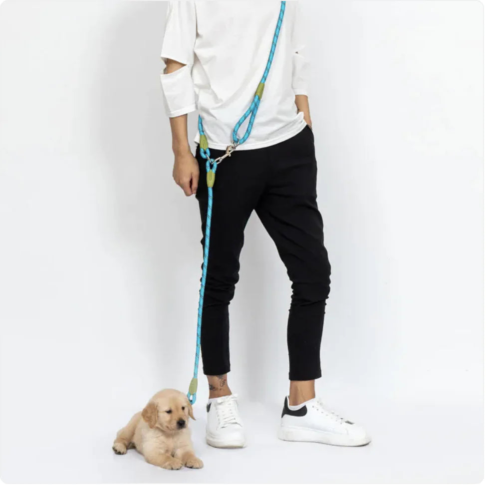 Durable Nylon Round Dog Leash – Creative Design