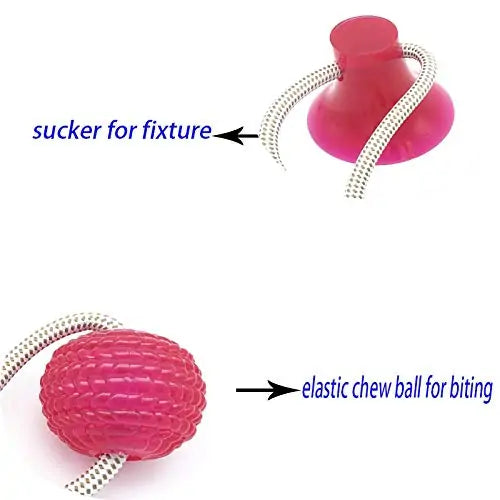 Suction Cup Dog Push Ball Toy