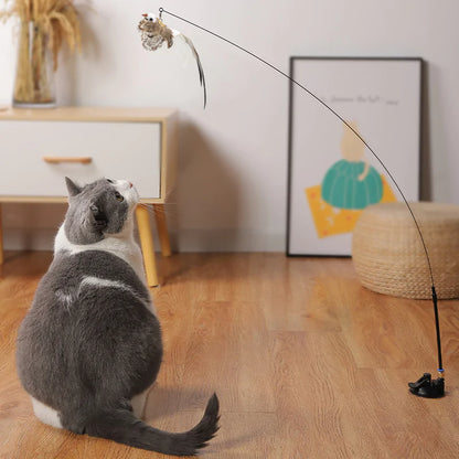 Bird Toys For Cat