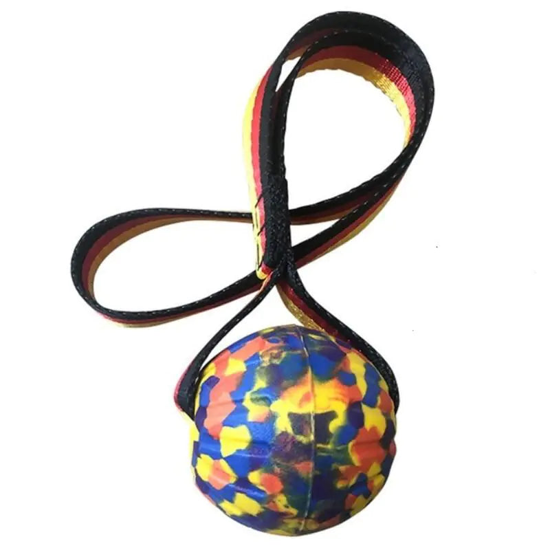 Dog Training Ball on Rope